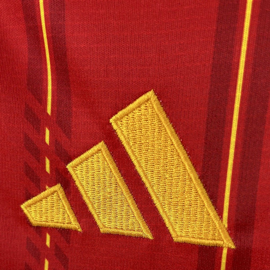 Spain home jersey